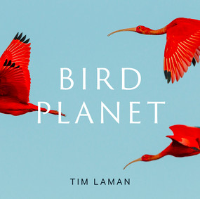 Bird Planet (A Photographic Journey) by Tim Laman, 9781419761492