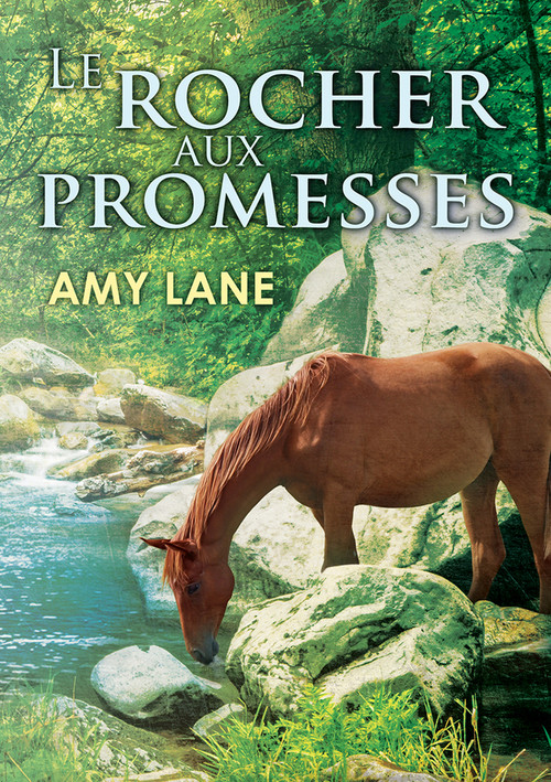 Le Rocher Aux Promesses (French Edition) by Amy Lane, Christine Gauzy-Svahn, 9781634767866