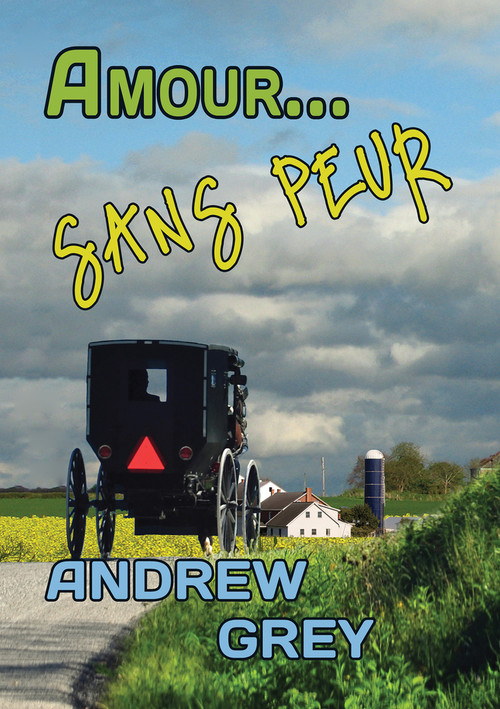 Amour... sans peur (French Edition) by Andrew Grey, Cléo Patte, 9781640802797