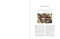 Spey Flies, Their History and Construction by John Shewey, 9781510756045