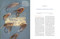 Spey Flies, Their History and Construction by John Shewey, 9781510756045