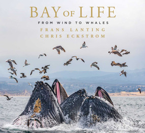 Bay of Life (From Wind to Whales) by Frans Lanting, Chris Eckstrom, Leon Panetta, 9781647221430