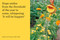 Smile: The Wisdom of Joy (Affirmations and quotations to inspire happiness) by CICO Books, 9781800651609