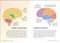 Simply The Brain by DK, 9780744060119