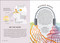 Simply The Brain by DK, 9780744060119
