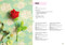 All-New Twenty to Make: Flowers to Knit by Sachiyo Ishii, 9781800920873