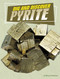 Dig and Discover Pyrite - 9781666342628 by Nancy Dickmann, 9781666342628