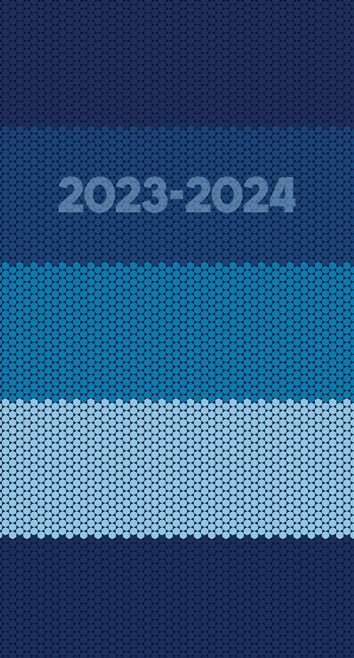 Blue Stripe 2023 2-Year Pocket Planner by Willow Creek Press, 9781549230813