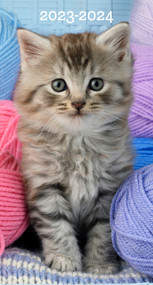 Cute As a Kitten 2023 2-Year Pocket Planner by Willow Creek Press, 9781549230837