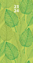 Leaves 2023 2-Year Pocket Planner by Willow Creek Press, 9781549230851