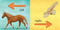 We're Going on a Bear Hunt: My First Opposites by Walker Productions LTD, 9781536225426