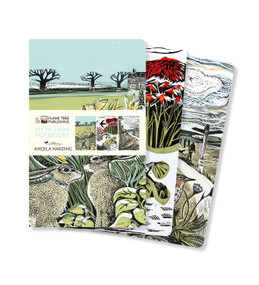 Angela Harding: Landscapes Set of 3 Mini Notebooks by Flame Tree Studio, 9781804171981