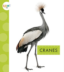 Cranes - 9781681526638 by Jessica Amstutz, 9781681526638