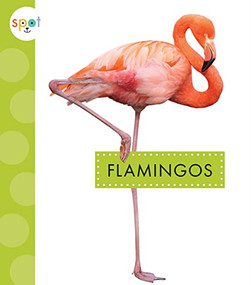 Flamingos - 9781681526645 by Lisa Amstutz, 9781681526645