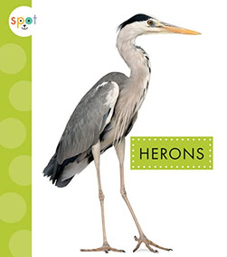 Herons - 9781681526652 by Lisa Amstutz, 9781681526652