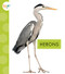 Herons - 9781681526652 by Lisa Amstutz, 9781681526652