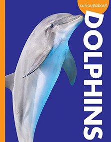 Curious about Dolphins by Annie C. Holdren, 9781681526997