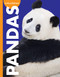 Curious about Pandas by Amy S. Hansen, 9781681527024
