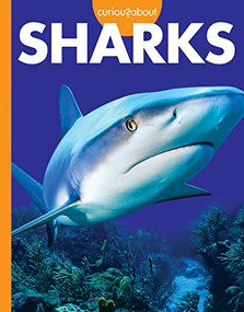 Curious about Sharks by Amy S. Hansen, 9781681527031