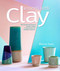 Lessons with Clay (Step-by-Step Techniques for Colorful Designs in Hand-Thrown and Hand-Built Tableware) by Melisa Dora, 9780764364693