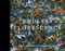 Endless Florescence (Transformative Contemporary Dried Floral Design) by Jenny Ingrum, 9780764364303