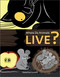 Where Do Animals Live? by Katerina Gorelik, 9780764365157