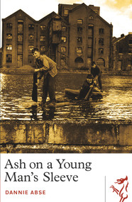 Ash on a Young Man's Sleeve - 9781913640118 by Dannie Abse, 9781913640118