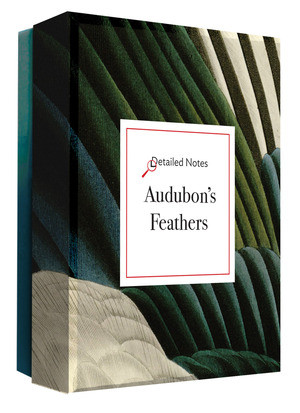 Audubon's Feathers (A Detailed Notes notecard box) by Editors of Abbeville Press, 9780789254511