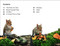 DK Super Readers Level 2 The Secret Life of Trees - 9780744071979 by DK