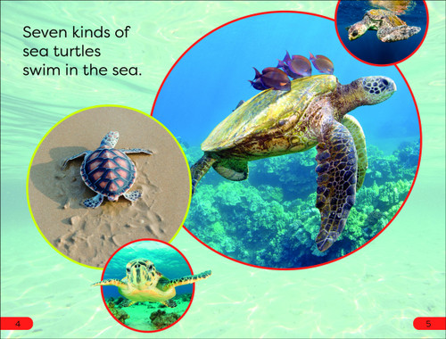 DK Super Readers Pre-Level Save the Sea Turtles - 9780744072709 by DK