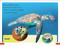 DK Super Readers Pre-Level Save the Sea Turtles - 9780744072709 by DK