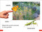 DK Super Readers Pre-Level Garden Friends - 9780744066562 by DK