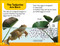 DK Super Readers Level 2 Tale of a Tadpole - 9780744073485 by DK