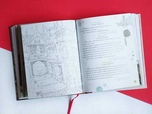 Harry Potter: Un año mágico / Harry Potter -A Magical Year: The Illustrations of Jim Kay (Spanish Edition) by J.K. Rowling, Jim Kay, 9788418797125