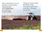 DK Super Readers Level 1 A Year on the Farm - 9780744073966 by DK