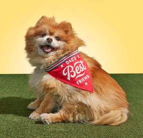 Dog Bandana Dad's Best Friend, 9780735373549