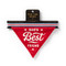 Dog Bandana Dad's Best Friend, 9780735373549