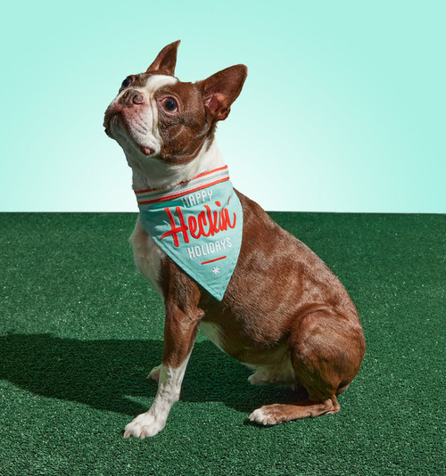 Dog Bandana Happy Heckin' Holidays, 9780735373556