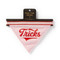 Dog Bandana Turns Tricks, 9780735373563
