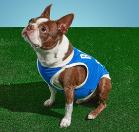 Dog Tank Born To Sleep Dog Tank - XS, 9780735373594