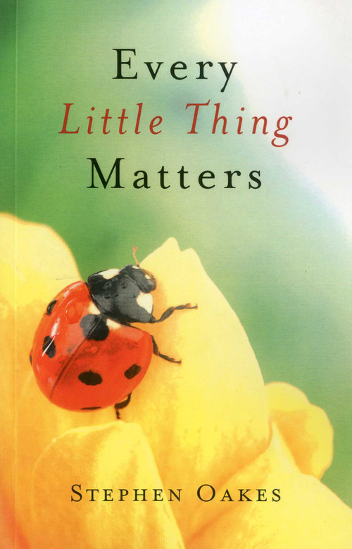 Every Little Thing Matters by Stephen Oakes, 9781846944239