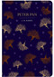 Peter Pan - 9781914602078 by J M Barrie, 9781914602078