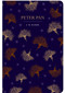 Peter Pan - 9781914602078 by J M Barrie