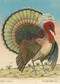 John Derian Paper Goods: Crested Turkey 1,000-Piece Puzzle by John Derian, 9781648291821