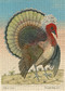 John Derian Paper Goods: Crested Turkey 1,000-Piece Puzzle by John Derian, 9781648291821