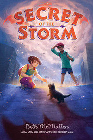 Secret of the Storm by Beth McMullen, 9781534482852