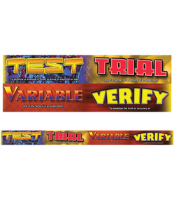 Scientific Inquiry Vocabulary Words Straight Bulletin Board Borders by Mark Twain Media, 9781580376464