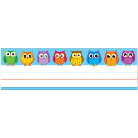 Colorful Owls Name Plates by Carson Dellosa Education, 9781609968434