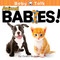 Animal Babies! by Charles Reasoner, 9781612360546
