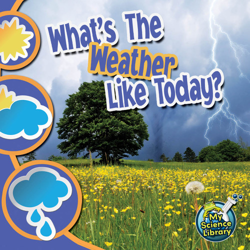 What's The Weather Like Today? by Conrad  J. Storad, 9781617419393